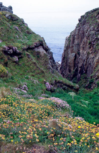 istock Coastal Path - Land's End to Porthcurno, Cornwall UK 943388808