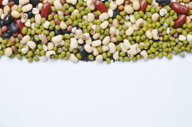 istock raw varity bean and cereal plant texture and background 943389252