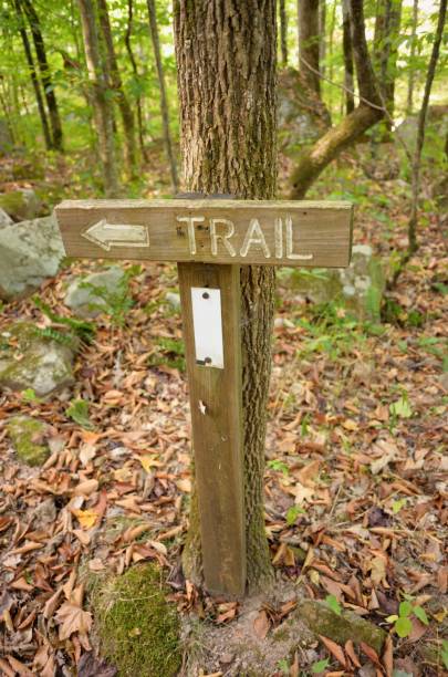 istock Trail sign with post and marker 943393984