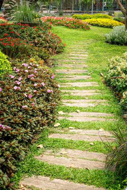istock Trees in the shade garden 943403462