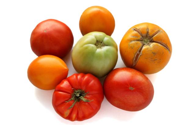istock Organic concept of tomatoes 943403808