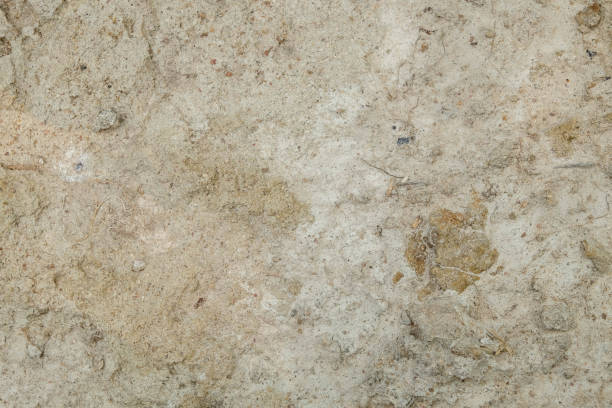 istock abstract background texture of peat soil 943404922