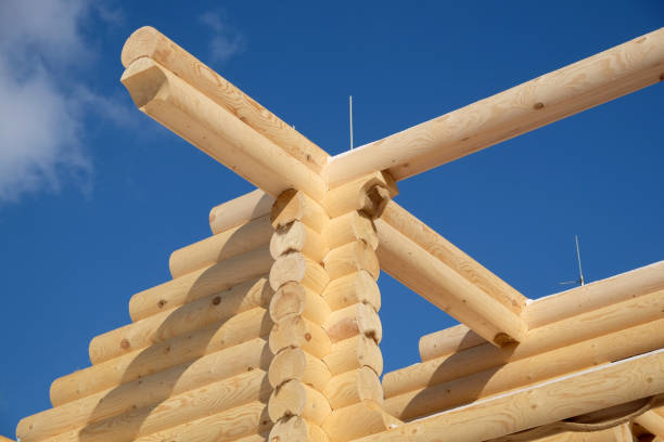 istock Big rural house construction from smooth logs on sunny day 943405592