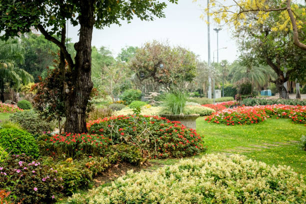 istock Trees in the shade garden 943408348