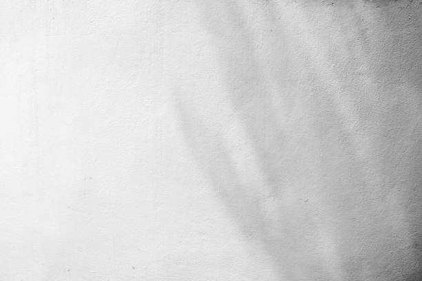istock abstract background textuer of shadows leaf on a concrete wall. 943411406