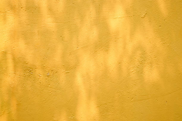 istock abstract background textuer of shadows leaf on a concrete wall. 943418012