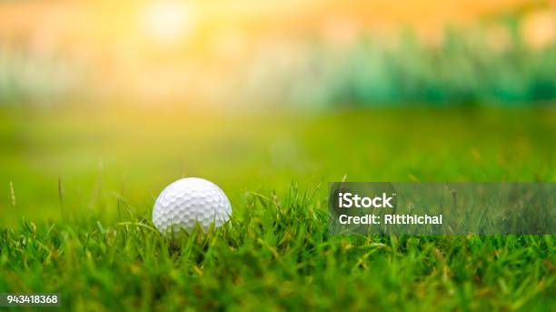 Golfball Auf Groben Rasen Fairway Auf Sonnenuntergang Stockfoto und mehr Bilder von Golf