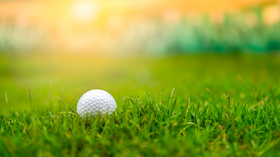 The putter is about to hit the golf ball on the green grass. Large copy space with isolated white background and clipping path. With this feature, background can be replaced easily.