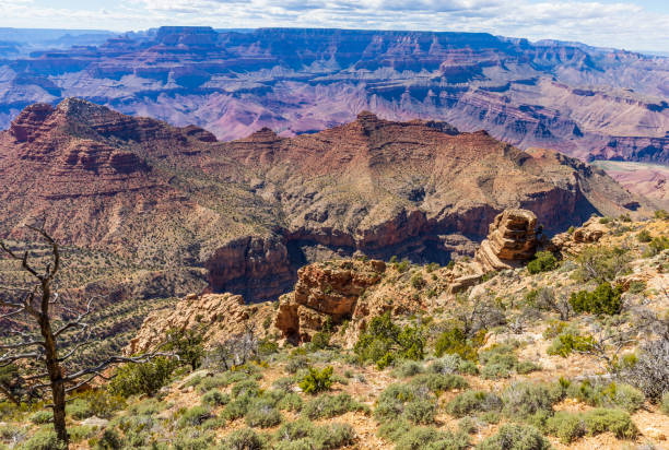 istock Grand Canyon South Rim Landscape 943418870