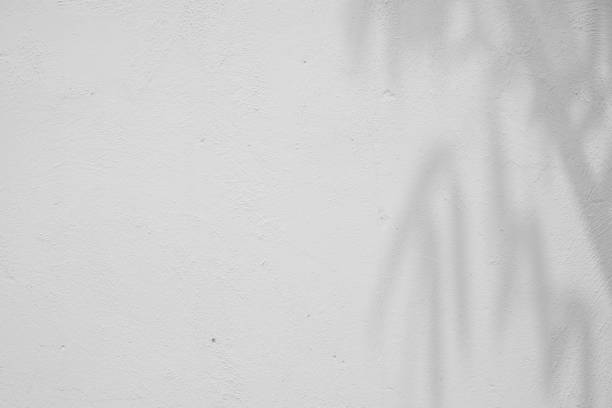 istock abstract background textuer of shadows leaf on a concrete wall. 943421492