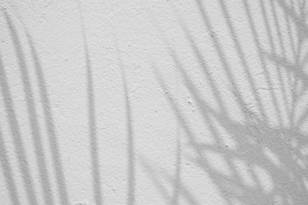 istock abstract background textuer of shadows leaf on a concrete wall. 943421550