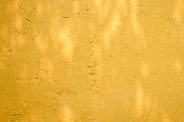 istock abstract background textuer of shadows leaf on a concrete wall. 943422120