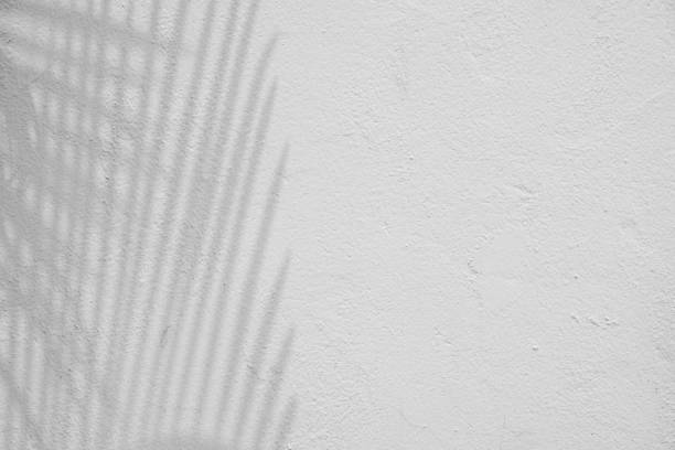 istock abstract background textuer of shadows leaf on a concrete wall. 943424654