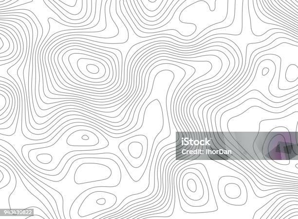 Topographic Map Vector Background Topo Contour Map On White Background Stock Illustration - Download Image Now