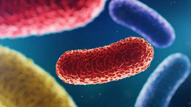 istock 3d illustration of bacteria. Medical background 943431308