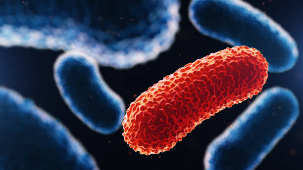 istock 3d illustration of bacteria. Medical background 943431342