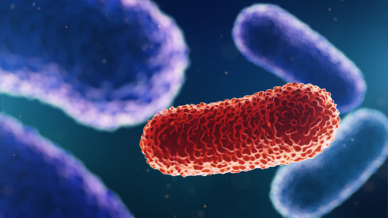 Ilustración 3D de bacterias. Antecedentes médicos photo