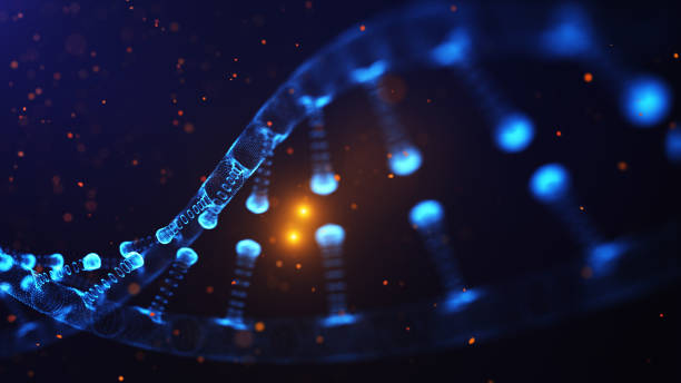 istock A particulate 3D rendered DNA on a blue bokeh background. 943431822