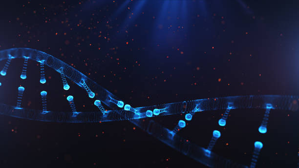 istock A particulate 3D rendered DNA on a blue bokeh background. 943433964