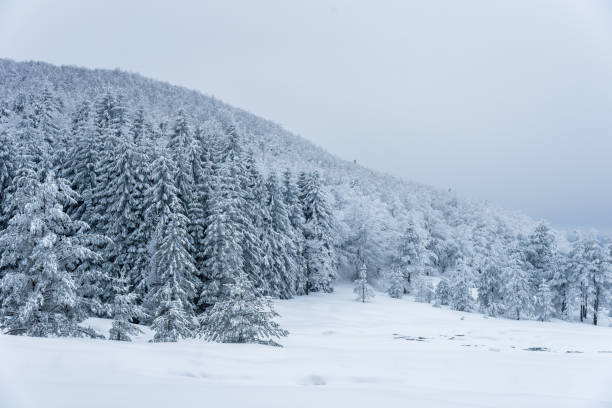istock Winter landscape of the mountain. 943434576