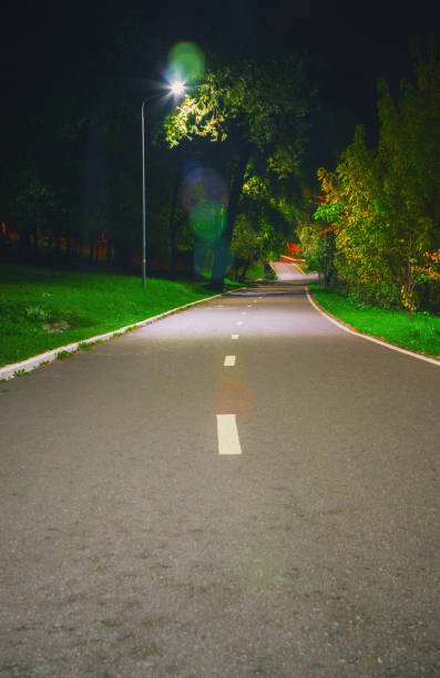istock Path In The Public Park At Summer Night 943440496