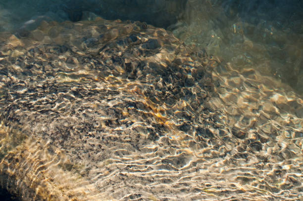 istock Abstract image of underwater reflection of subeams , Sikkim, India 943449540