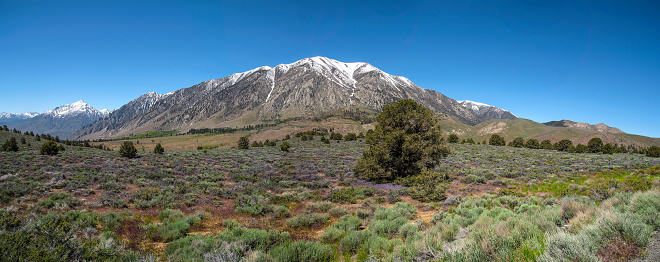 View of the Eastern Sierra Nevada near Mammoth Lakes, California. Western United States.