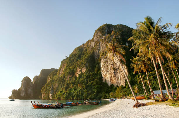 istock Ao Ton Sai beach on Phi Phi Don Island, Thailand 943455776