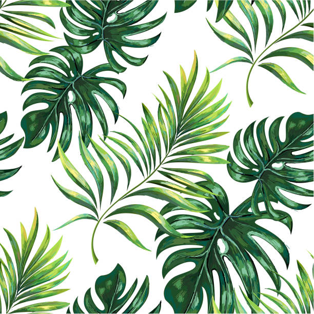 illustrations, cliparts, dessins animés et icônes de feuilles de palmiers tropicaux, jungle. fond de vecteur de motifs floraux. - palm leaf frond leaf backgrounds