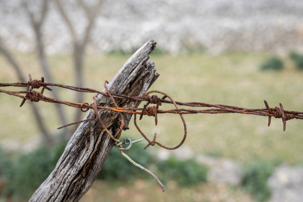 istock Rusty barbed wire and wooden pole of a fence 943457100