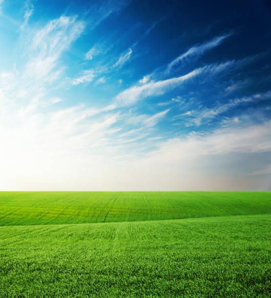 istock agriculture green grass field and sunset in blue sky with clouds 943460164