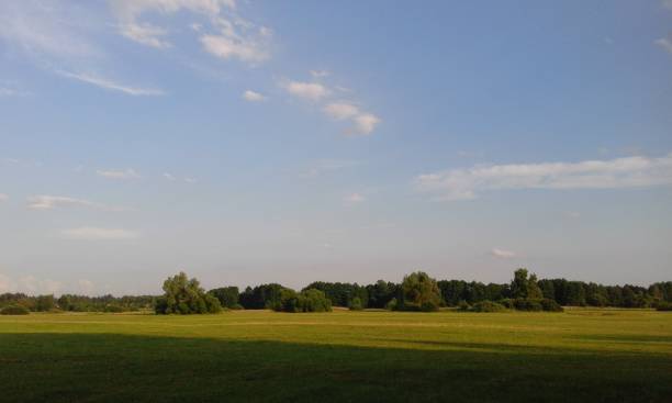 istock Summer Evening in the Meadow 943460496
