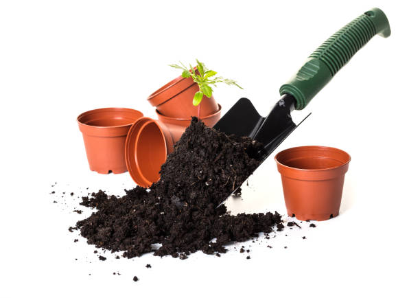 istock Planting a small plant on pile of soil 943465886