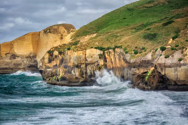 Photo of New Zealand coast