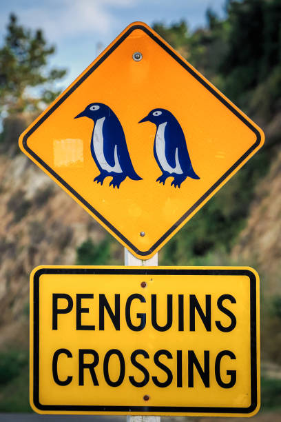 istock New Zealand coast 943472348