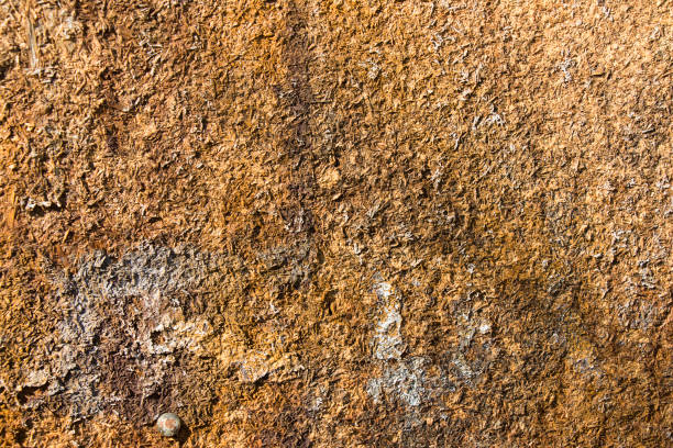 istock Detail of textured weathered  board 943479584