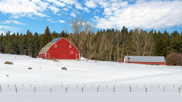 istock Bright red barn in winter with clouds fence and snow 943479778
