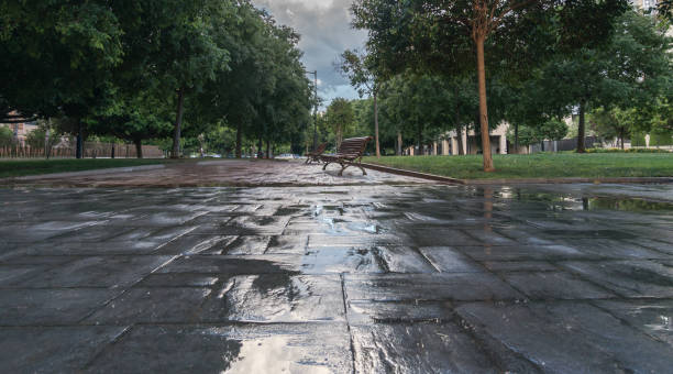 istock waterproof outer coating wet. stamped concrete pavement 943480466