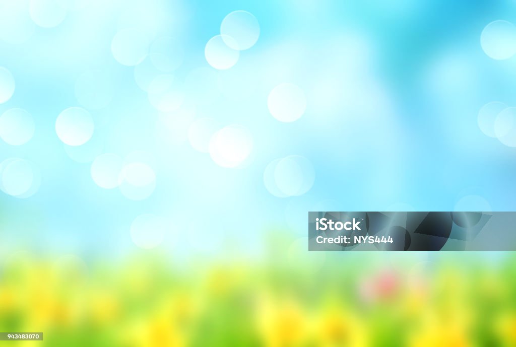 Green grass blue sky blurred background. Summer natural blurred background.Green grass blue sly backdrop. Backgrounds Stock Photo