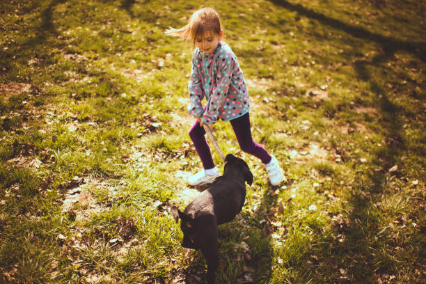 istock Girl playing with her dog 943486046