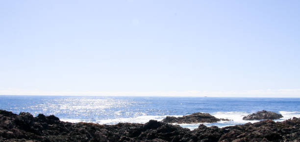 istock Tofino Shoreline in British Columbia 943488898