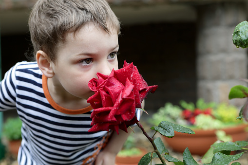 Child smelling rose