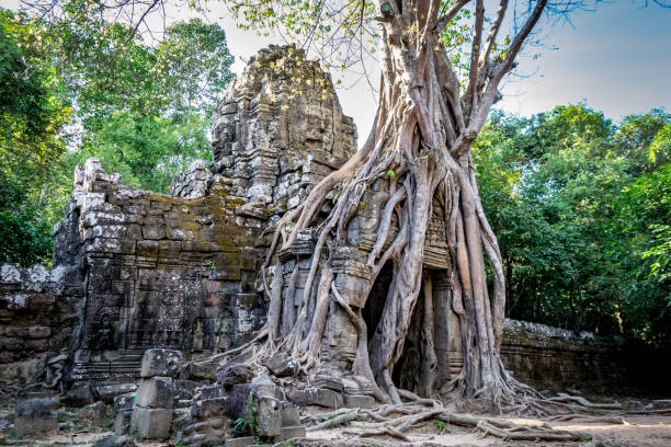 Tree roots and temple ruins at Ta Som temple at Siem reap stock photo