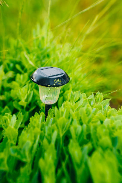 istock Small Solar Garden Light, Lantern In Flower Bed. Garden Design. Solar Powered Lamp 943495054
