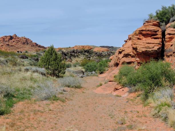 istock Desert panoramic Views from hiking trails around St. George Utah around Beck Hill, Chuckwalla, Turtle Wall, Paradise Rim, and Halfway Wash trails, in Western USA 943506952