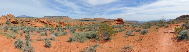 istock Desert panoramic Views from hiking trails around St. George Utah around Beck Hill, Chuckwalla, Turtle Wall, Paradise Rim, and Halfway Wash trails, in Western USA 943507246
