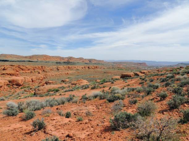 istock Desert panoramic Views from hiking trails around St. George Utah around Beck Hill, Chuckwalla, Turtle Wall, Paradise Rim, and Halfway Wash trails, in Western USA 943507280