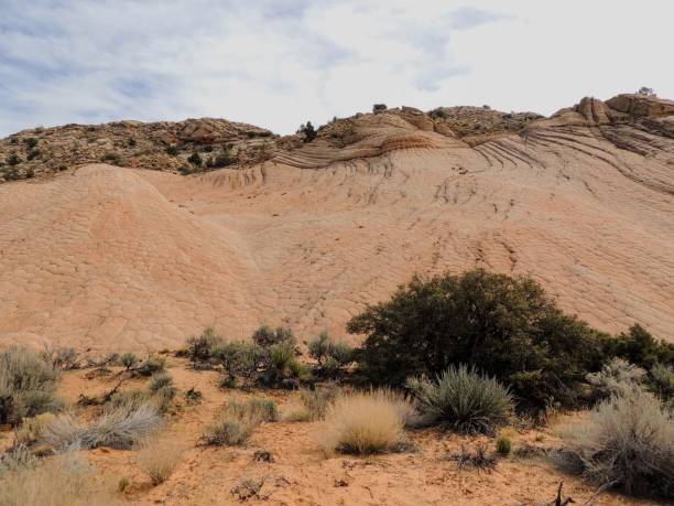 Views of sandstone and lava rock mountains and desert plants around the Red Cliffs National Conservation Area on the Yellow Knolls hiking trail located in southwest Utah, north of St. George at the northeastern-most edge of the Mojave Desert. vistas de piedra arenisca y las montañas de roca de lava y las plantas del desierto alrededor del área de conservación nacional de red acantilados en los montículos amarillo senderismo sendero ubicado en el suroeste de utah, al norte de st george en el borde noreste-la mayor parte del desierto de mojave.