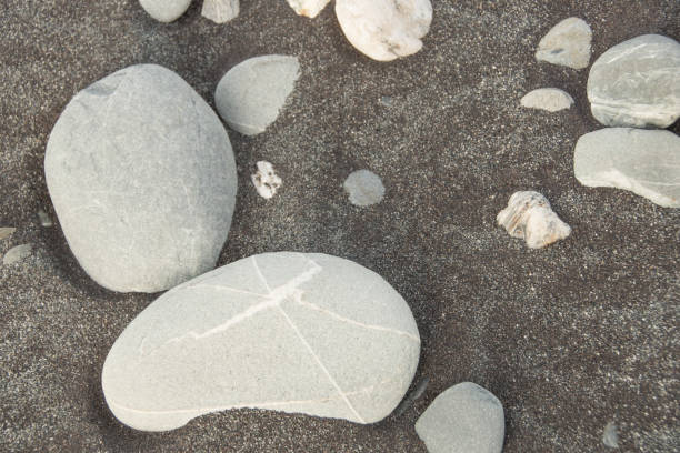 istock Driftwood and Rocks alongs the Beach 6 943519144