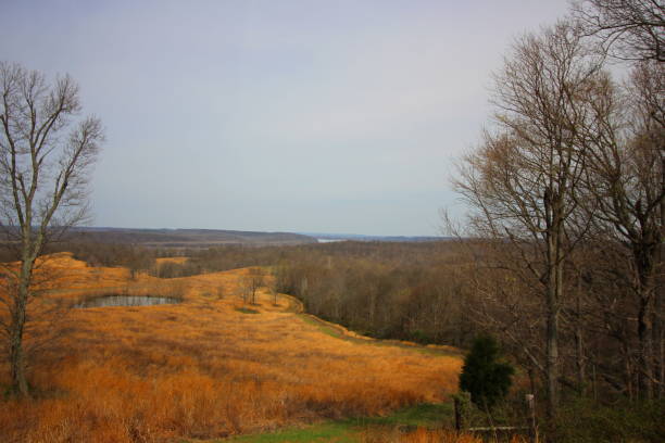 istock Kentucky Landscape in Winter 943525144